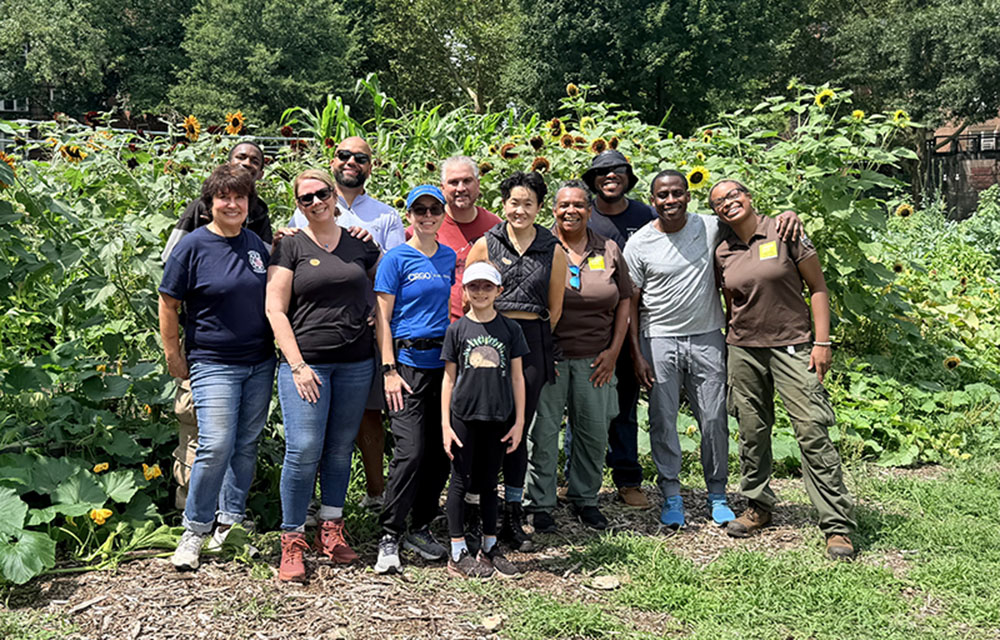 IREM NYC volunteers with  Green City Force in the Bronx